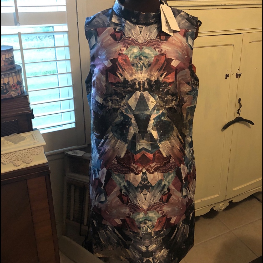 Ted Baker High Collared Tunic Dress